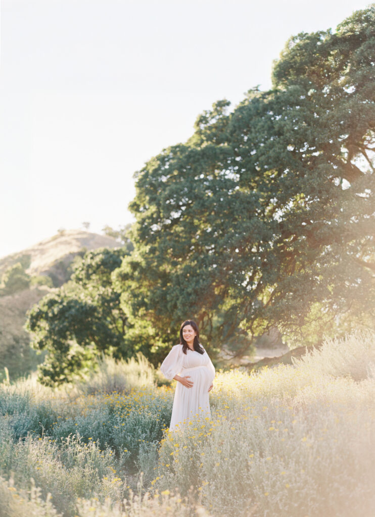 Maternity photo session in San Francisco sunset maternity portrait in a golden meadow. 